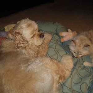 Meet your Posher, Sue